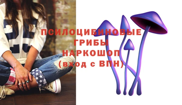 apvp Алзамай