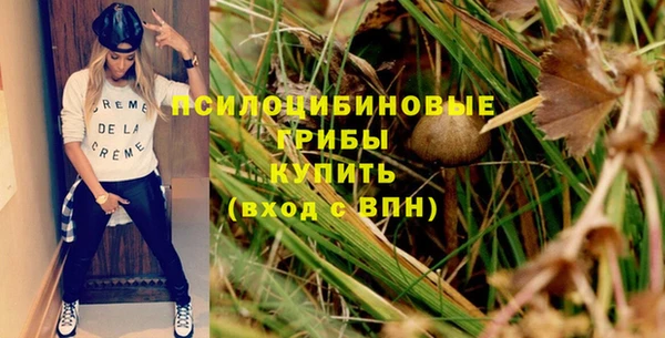стафф Алексеевка