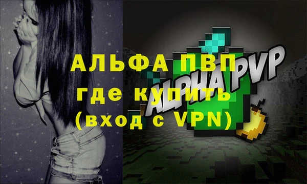 apvp Алзамай